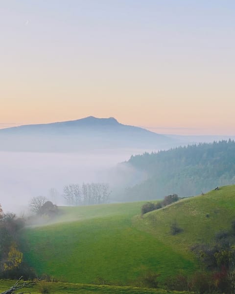 Misty valley slide